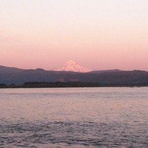 Meet your Posher, Krista